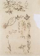 Johann Wolfgang von Goethe Leaf shapes oil painting artist